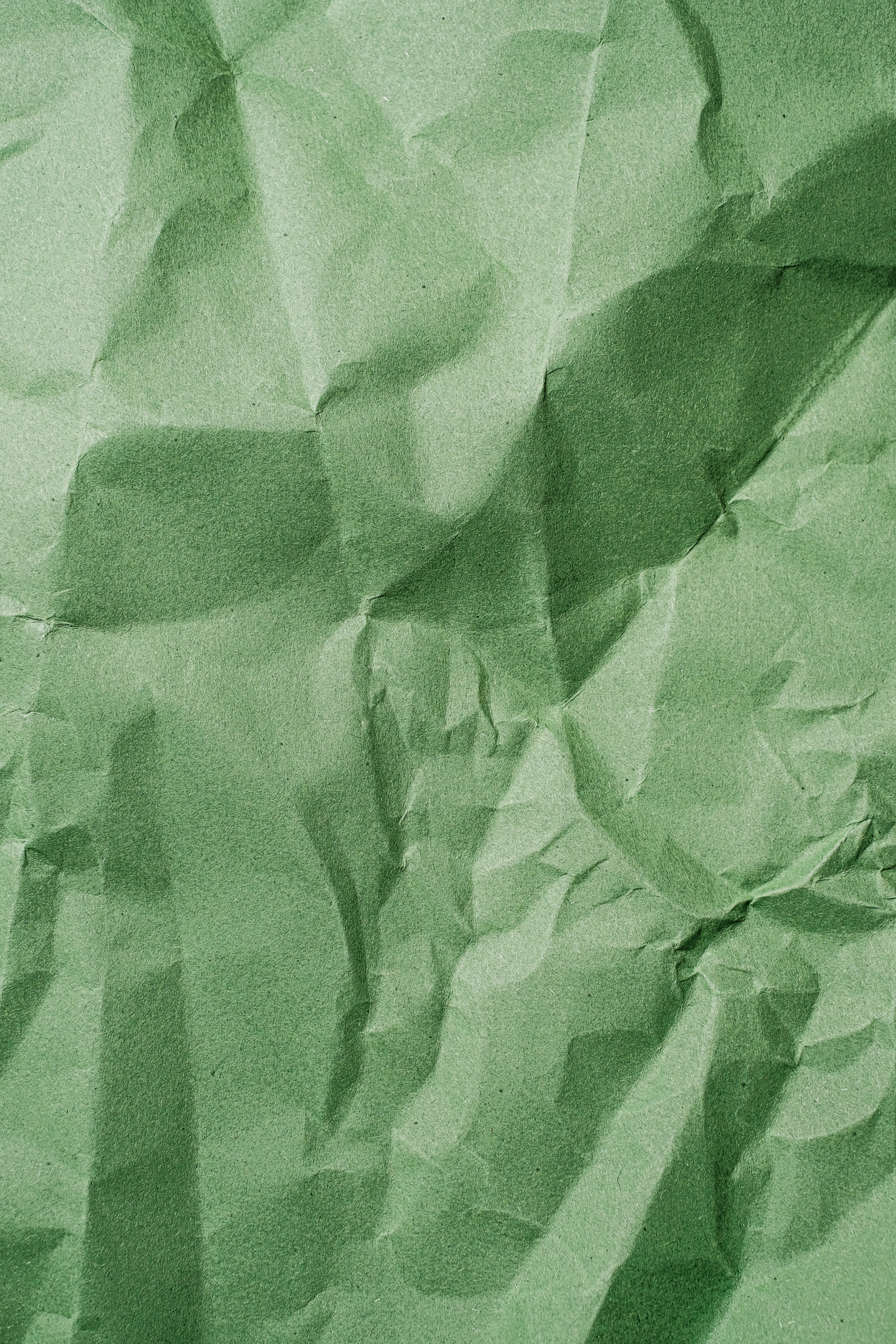 Green Crumpled Paper