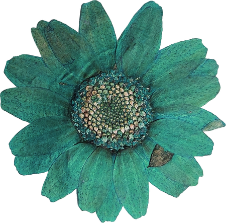 Pressed Green Flower